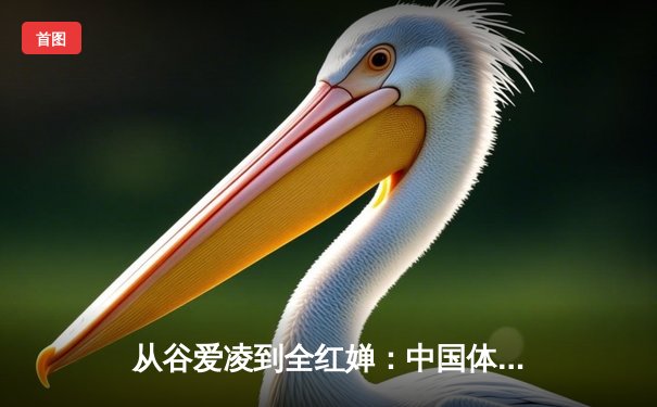 从谷爱凌到全红婵：中国体育新生代的崛起与挑战